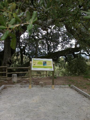 Mesa de interpretación accesible en Lecina