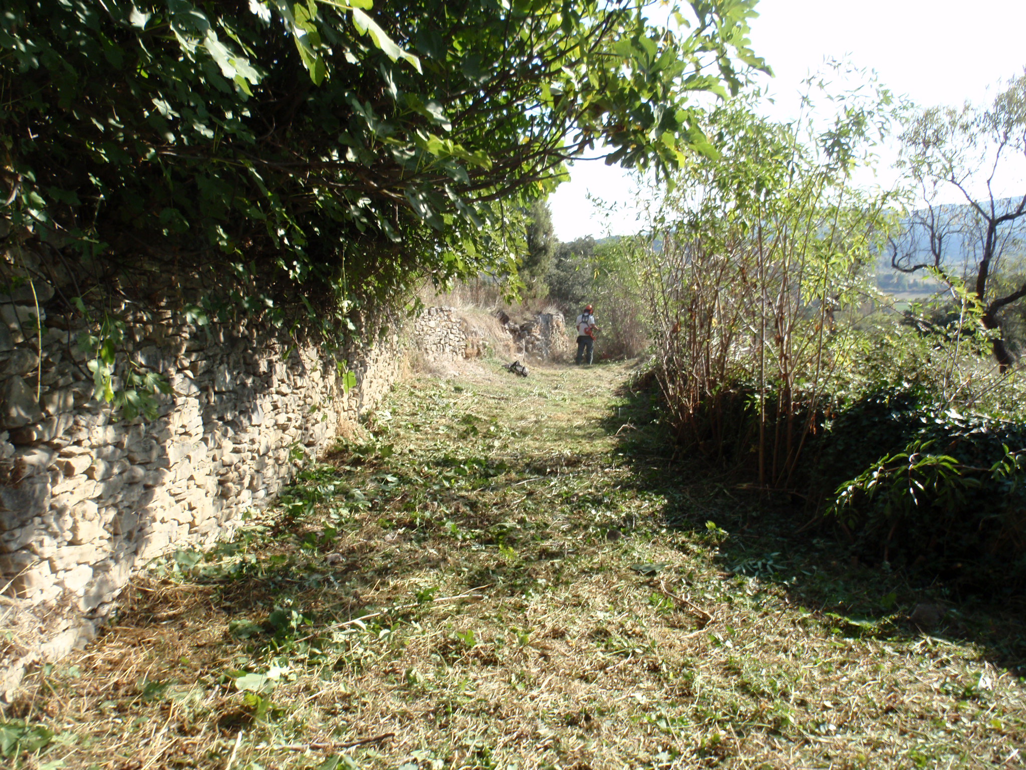Desbroce intenso a la salida de Almazorre direccion Hospitaled, donde el camino se encontraba perdido entre la maleza Desbroce intenso a la salida de Almazorre direccion Hospitaled