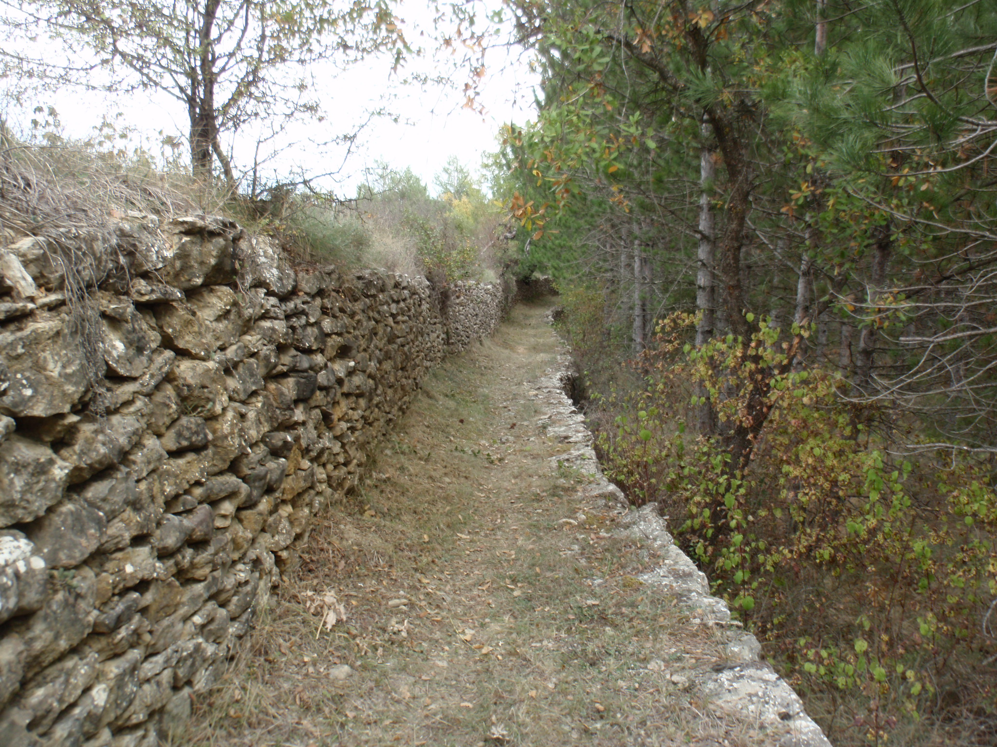 Almazorre-Lecina después del desbroce Almazorre-Lecina después del desbroce