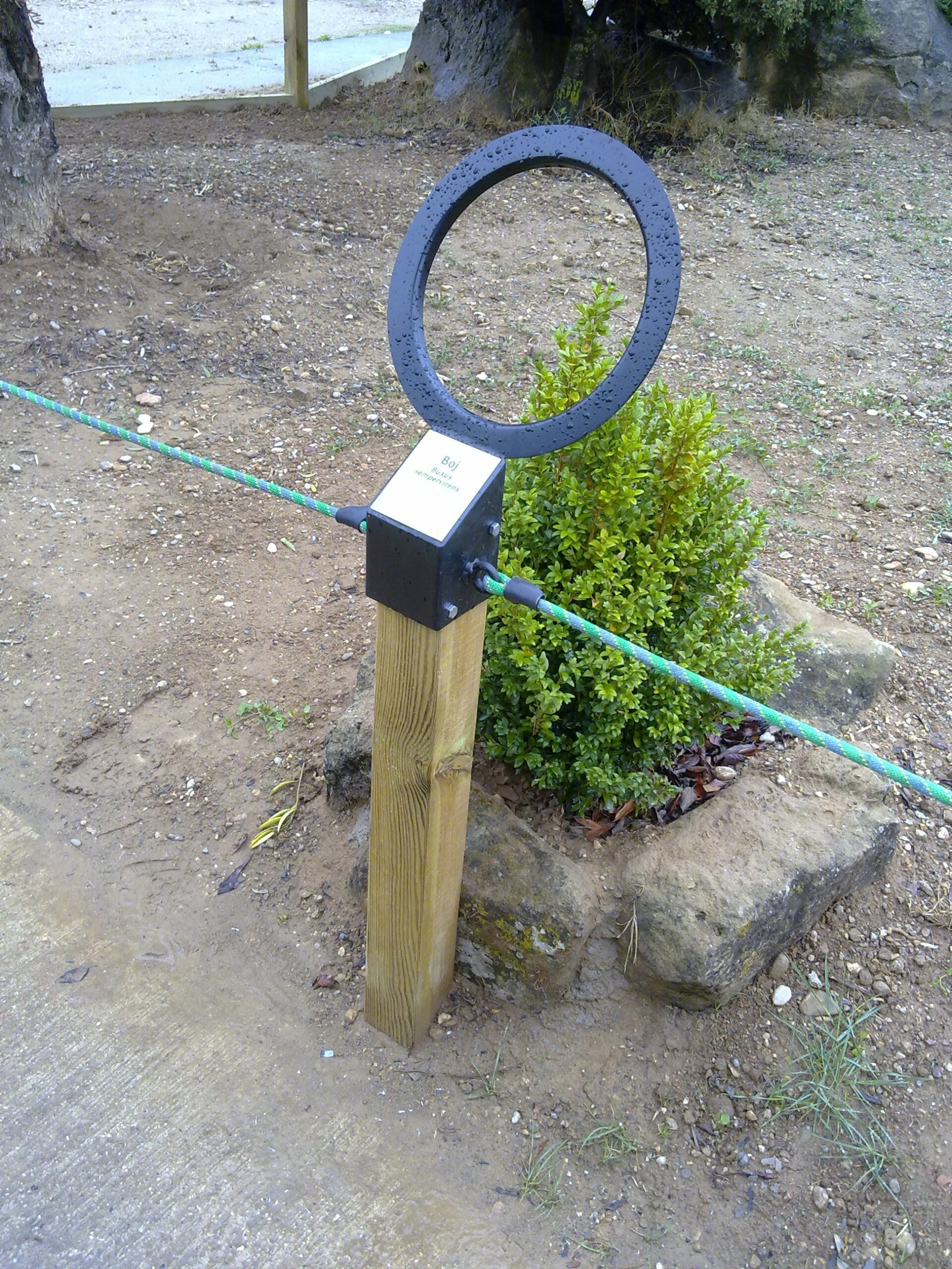 Estaca interpretativa botanica Estaca interpretativa botanica