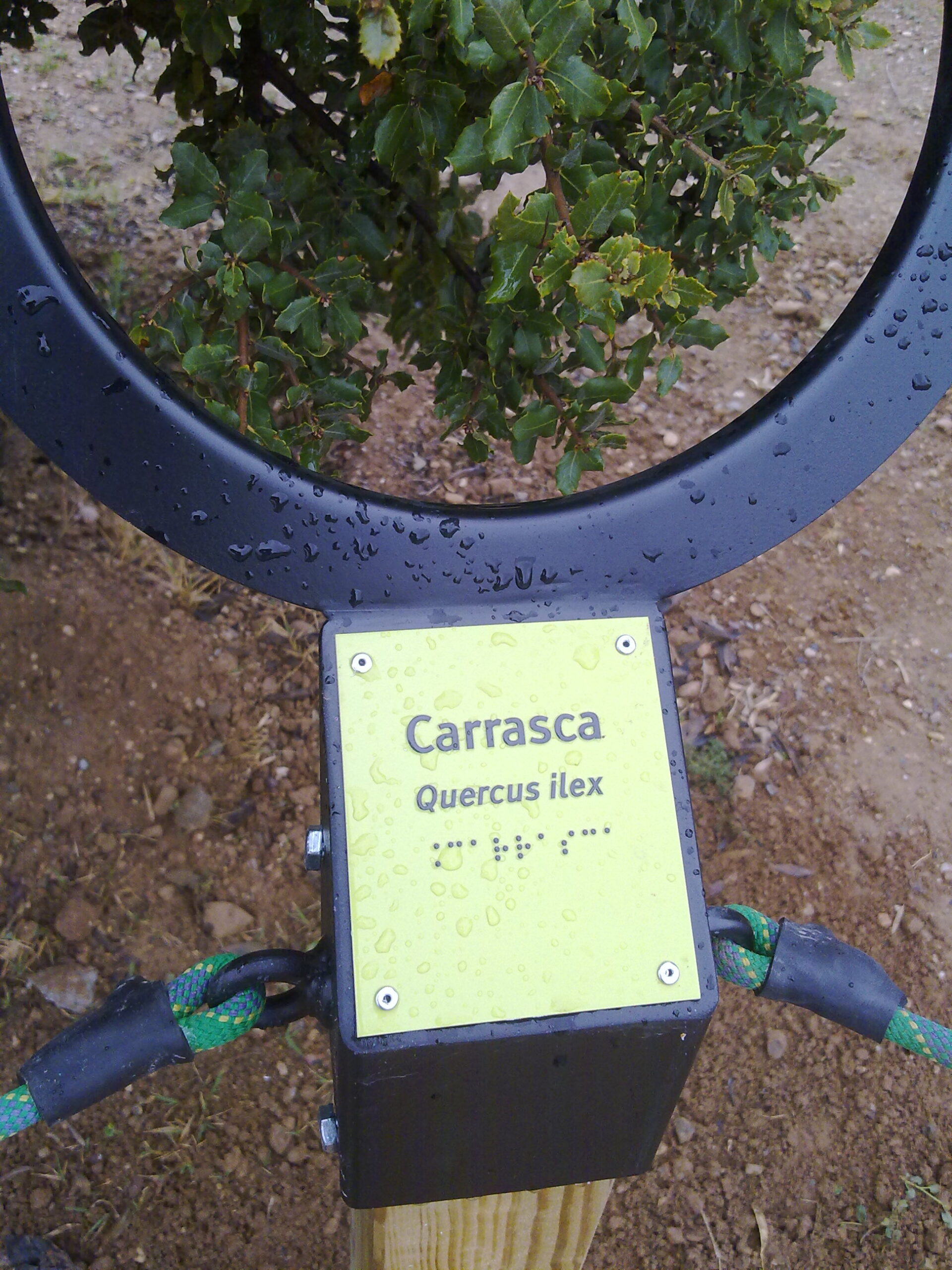 Aro interpretativo accesible Aro interpretativo accesible