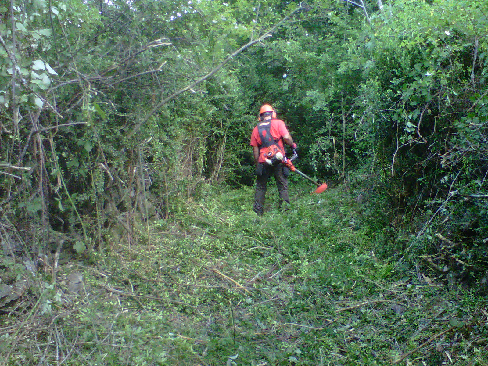 Desbroces en Montanuy Desbroces en Montanuy