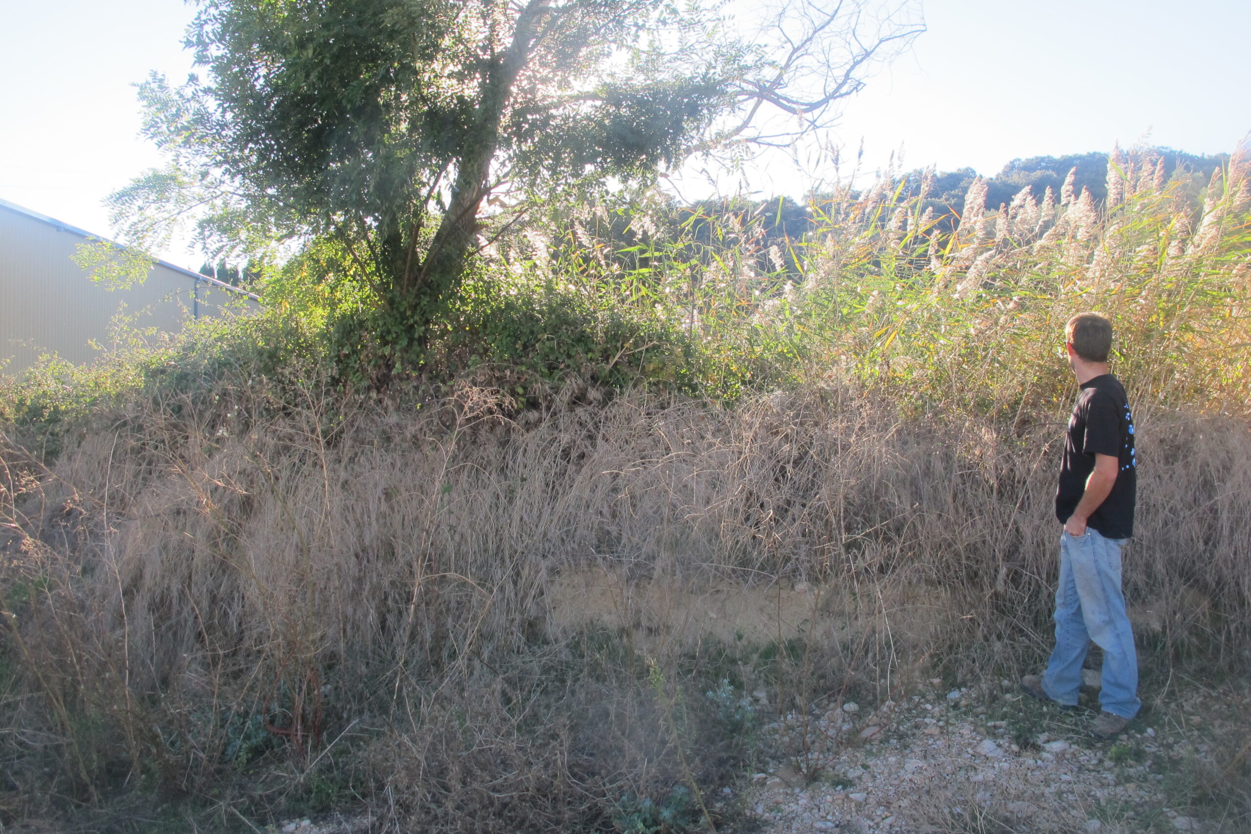 Estado original de la balsa Petravera Estado original de la balsa Petravera